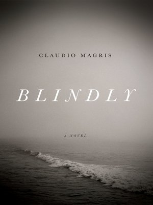 cover image of Blindly